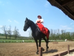  programma equestre.JPG 